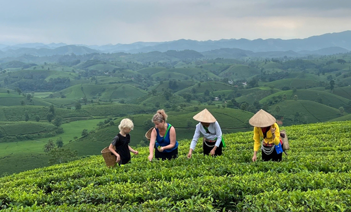 Chuyển đổi ‘xanh’ trong phát triển du lịch Chuyển đổi ‘xanh’ trong phát triển du lịch