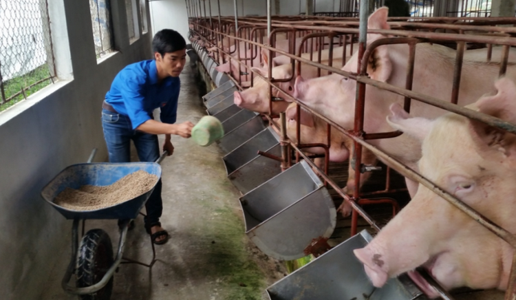 Công nghệ sinh học thúc đẩy nông nghiệp an toàn Công nghệ sinh học thúc đẩy nông nghiệp an toàn