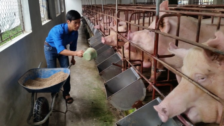 Công nghệ sinh học thúc đẩy nông nghiệp an toàn