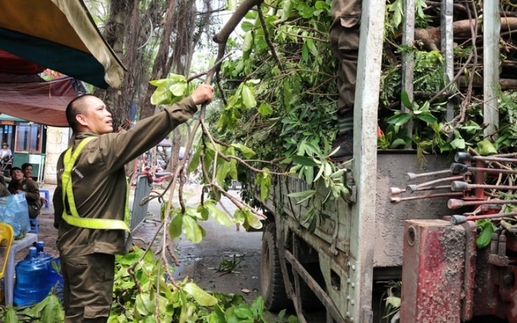 Lai Châu: Chủ động cắt tỉa cây xanh trước mùa mưa bão Lai Châu: Chủ động cắt tỉa cây xanh trước mùa mưa bão