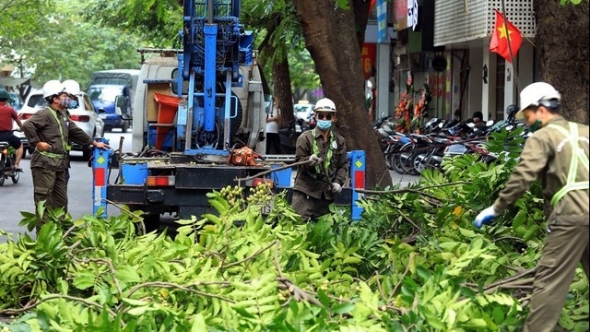 Lai Châu: Chủ động cắt tỉa cây xanh trước mùa mưa bão