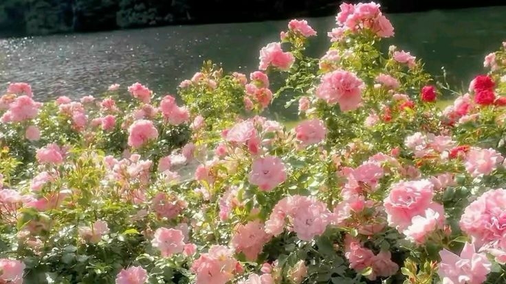 Tử vi vòng quay công nghệ ngày 28/5/2025: Tuổi Mùi thuận lợi hơn, tuổi Tý nhiều khó khăn Tử vi vòng quay công nghệ ngày 28/5/2025: Tuổi Mùi thuận lợi hơn, tuổi Tý nhiều khó khăn