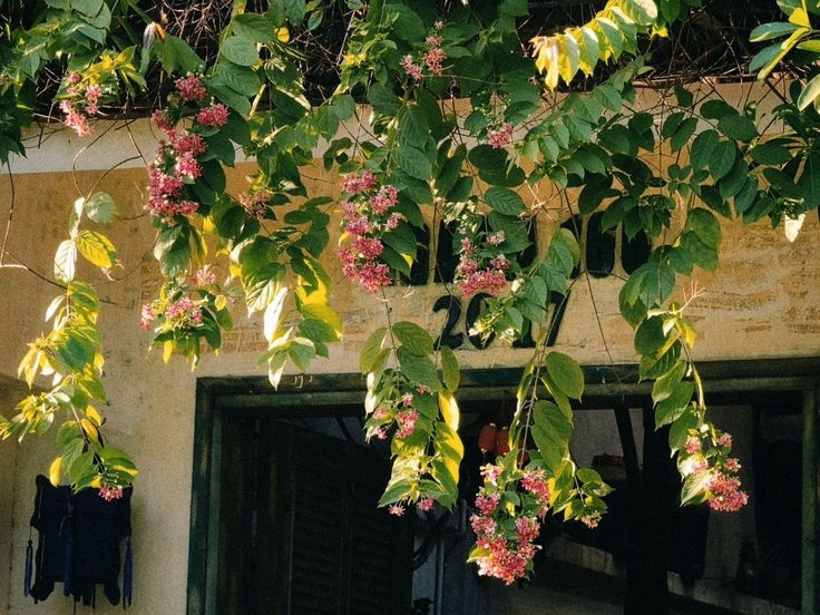 Tử vi vòng quay công nghệ ngày 28/5/2025: Tuổi Mùi thuận lợi hơn, tuổi Tý nhiều khó khăn Tử vi vòng quay công nghệ ngày 28/5/2025: Tuổi Mùi thuận lợi hơn, tuổi Tý nhiều khó khăn