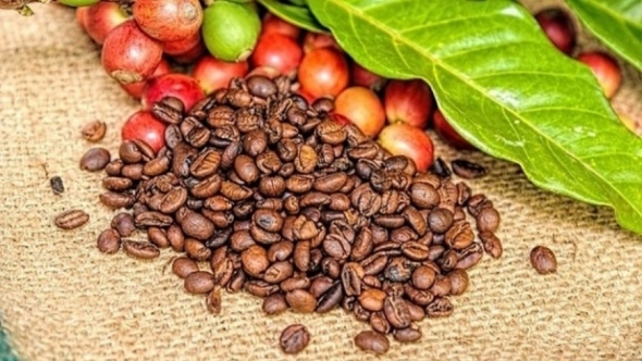 Giá nông sản hôm nay 1/5: Cà phê giảm nhẹ, hồ tiêu lập đỉnh mới, gạo xuất khẩu tiếp tục tăng