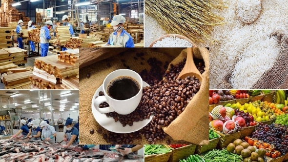 Giá nông sản hôm nay 3/5: Hồ tiêu neo đỉnh, cà phê hồi phục nhẹ, lúa gạo trầm lắng