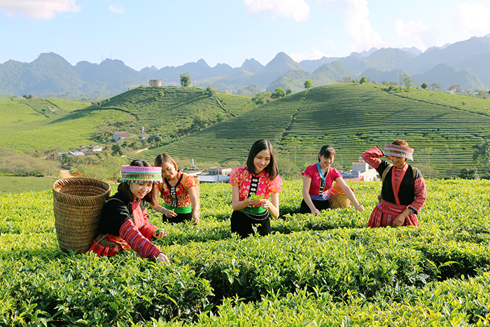 Khoa học – công nghệ, chuyển đổi số tạo động lực phát triển du lịch bền vững