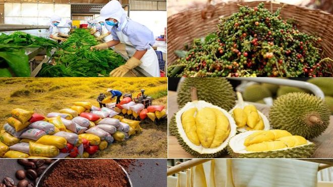 Giá nông sản hôm nay 7/5: Hồ tiêu giữ đỉnh 144.000 đồng/kg, cà phê phục hồi nhẹ