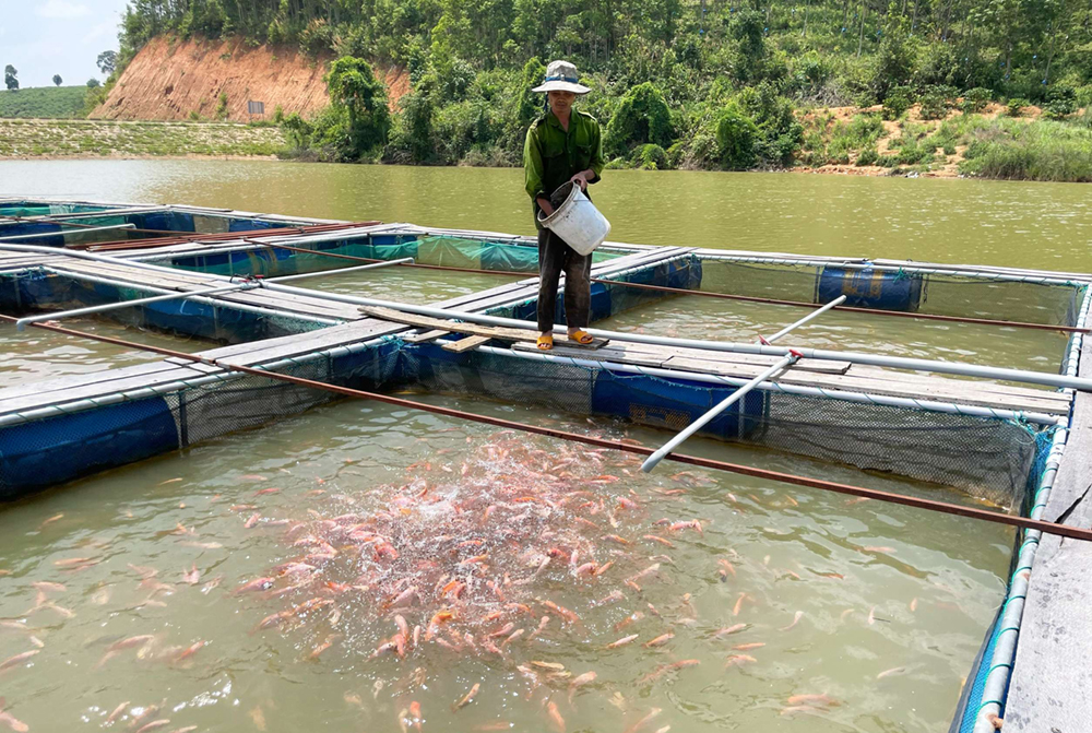 Tạo sinh kế bền vững từ khai thác lòng các hồ chứa
