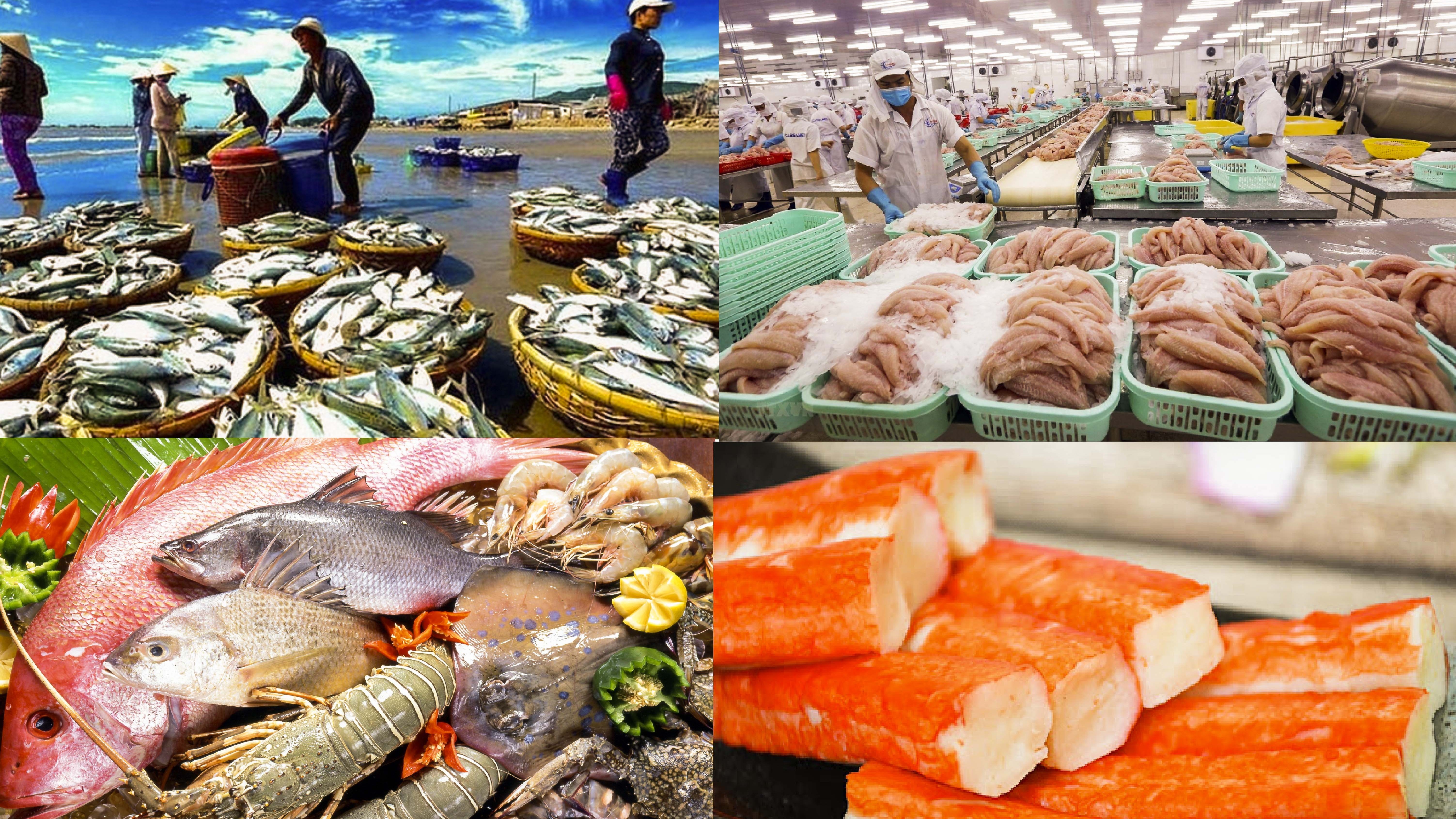 Thủy sản Việt Nam kỳ vọng vượt mốc 12 tỷ USD