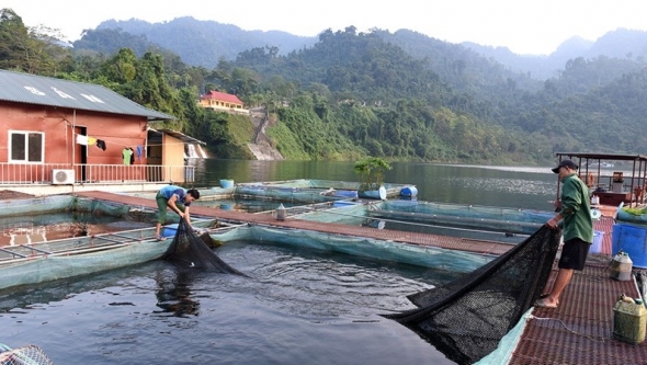 Nuôi trồng thủy sản ở Tuyên Quang chủ động ứng phó thiên tai