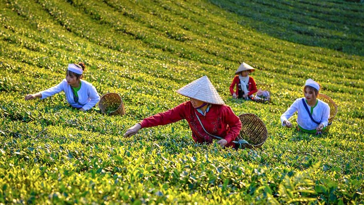 Ứng dụng công nghệ phát triển bền vững sản phẩm OCOP