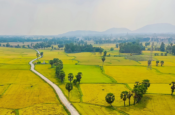 Sản xuất nông nghiệp vẫn đối diện nhiều thách thức bởi diễn biến thời tiết, thiên tai