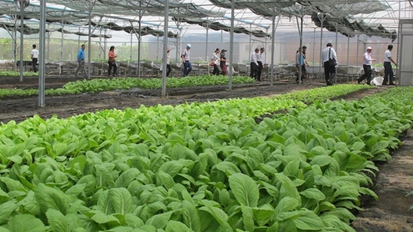 Chuyển giao khoa học kỹ thuật, hiện đại hóa nền nông nghiệp
