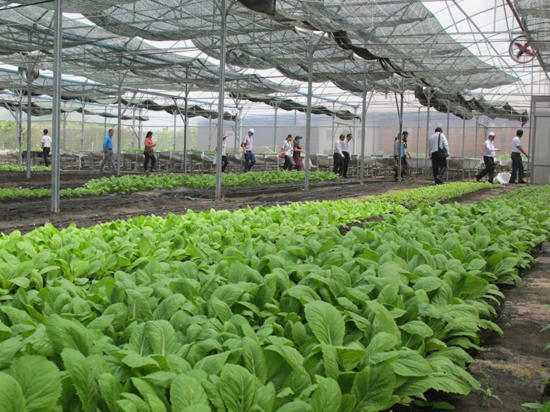Chuyển giao khoa học kỹ thuật, hiện đại hóa nền nông nghiệp