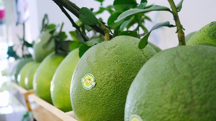 Bưởi, chanh xuất khẩu sang Trung Quốc phải được GACC phê duyệt