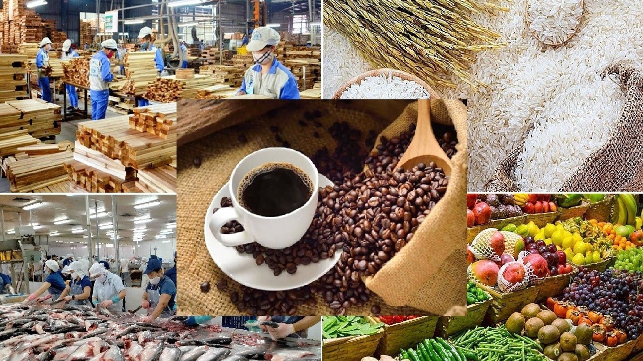 Giá nông sản hôm nay 17/5: Hồ tiêu neo cao, cà phê lao dốc, gạo xuất khẩu tăng mạnh