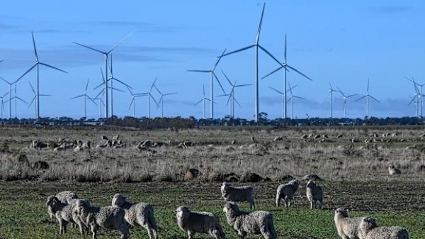 Australia sắp có trang trại điện gió lớn nhất Nam bán cầu