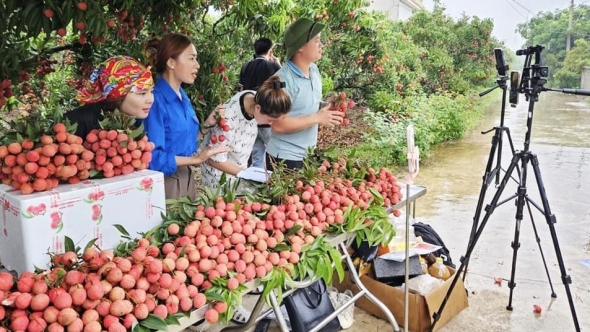 Ứng dụng công nghệ số, mở rộng thị trường tiêu thụ nông sản