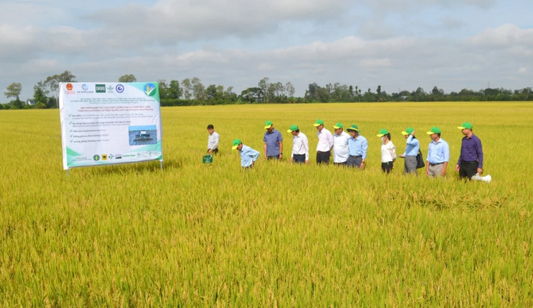 Đồng Tháp: Phát thải thấp khu vực sản xuất góp phần thúc đẩy tăng trưởng xanh Đồng Tháp: Phát thải thấp khu vực sản xuất góp phần thúc đẩy tăng trưởng xanh