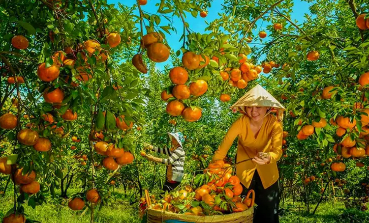Đồng Tháp: Phát thải thấp khu vực sản xuất góp phần thúc đẩy tăng trưởng xanh Đồng Tháp: Phát thải thấp khu vực sản xuất góp phần thúc đẩy tăng trưởng xanh