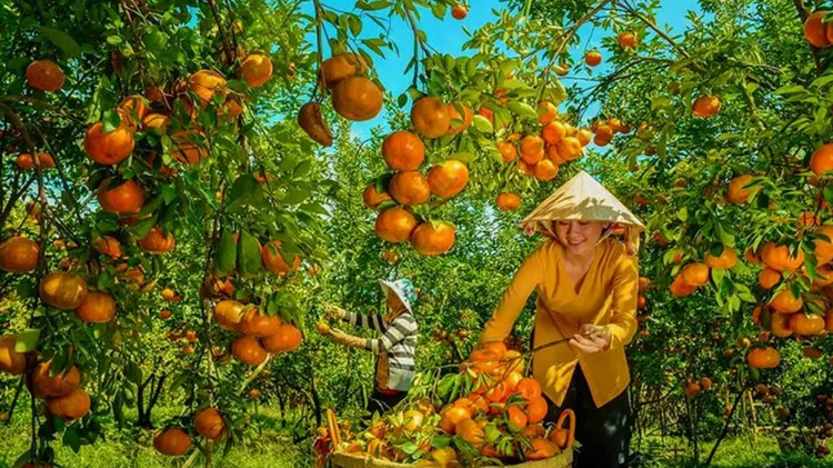 Đồng Tháp: Phát thải thấp khu vực sản xuất góp phần thúc đẩy tăng trưởng xanh
