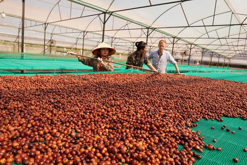 Đẩy mạnh chế biến sâu góp phần nâng cao giá trị nông sản