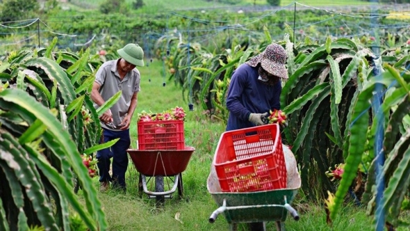 Đẩy mạnh chế biến sâu góp phần nâng cao giá trị nông sản
