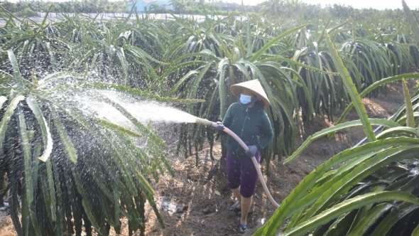 Đồng Tháp ứng phó nguy cơ thiếu hụt nguồn nước