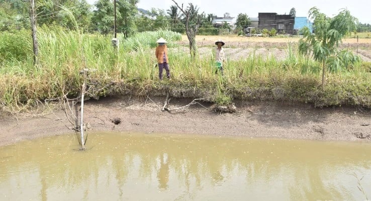 Đồng Tháp ứng phó nguy cơ thiếu hụt nguồn nước