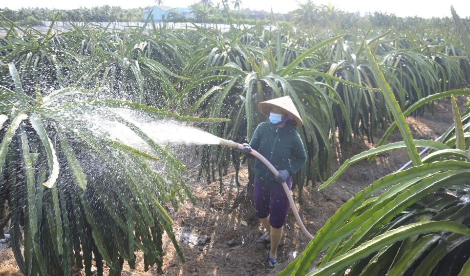 Đồng Tháp ứng phó nguy cơ thiếu hụt nguồn nước