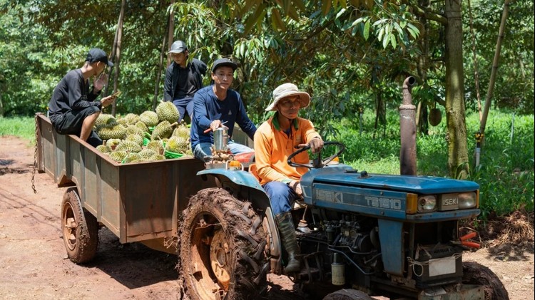 Linh hoạt chuyển đổi cơ cấu cây trồng, nâng cao giá trị nông nghiệp
