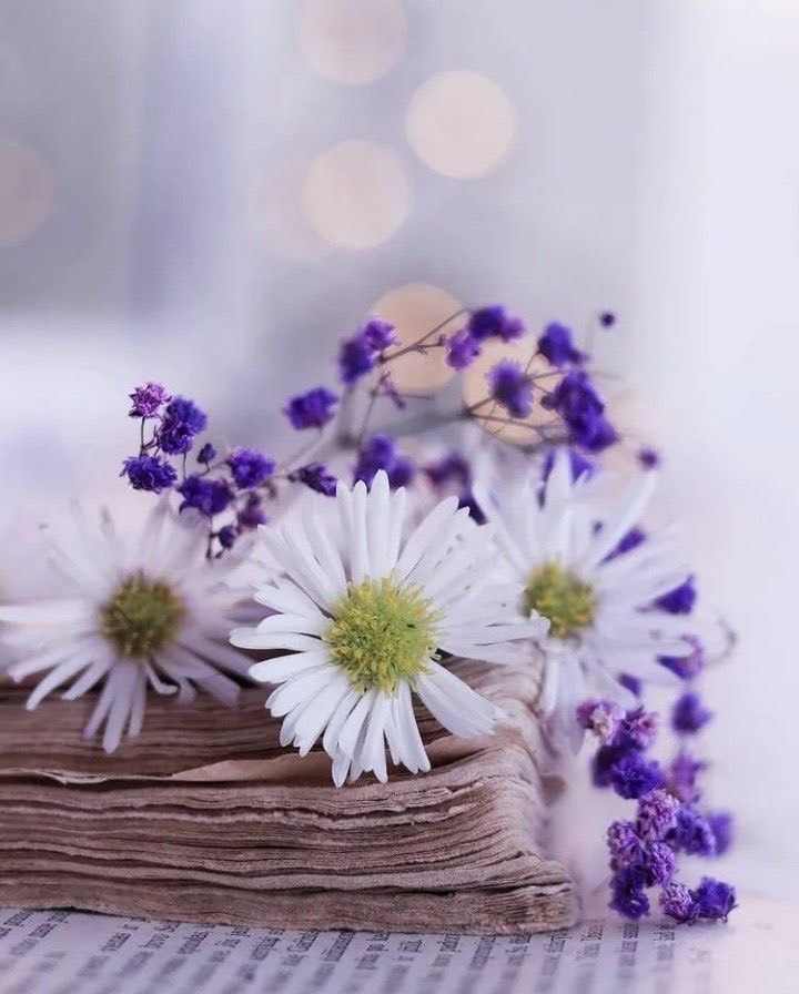 Tử vi 12 con giáp ngày 3/6/2022: Tuổi Sửu tình cảm dễ cãi vã, tuổi Thân tài chính biến động