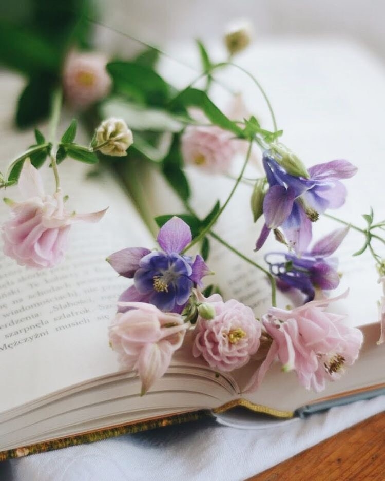 Tử vi 12 con giáp ngày 3/6/2022: Tuổi Sửu tình cảm dễ cãi vã, tuổi Thân tài chính biến động