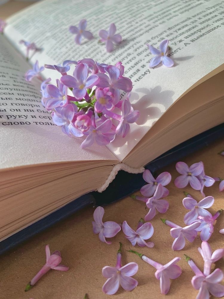 Tử vi 12 con giáp ngày 3/6/2022: Tuổi Sửu tình cảm dễ cãi vã, tuổi Thân tài chính biến động