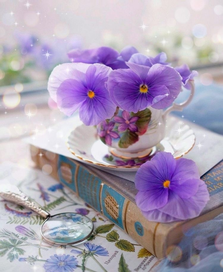 Tử vi 12 con giáp ngày 4/6/2022: Tuổi Dần đón nhiều may mắn, tuổi Dậu tài lộc bấp bênh