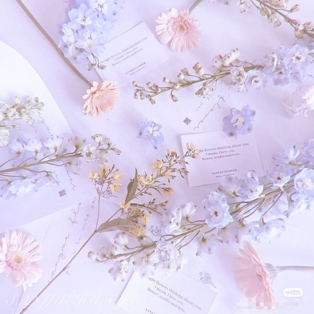 Tử vi tuần mới 13/6 - 20/6: Tuổi Mão hung cát đan xen, tuổi Tỵ đầu tuần thuận lợi