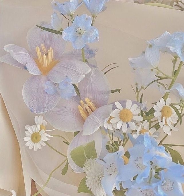 Tử vi tuần mới 13/6 - 20/6: Tuổi Mão hung cát đan xen, tuổi Tỵ đầu tuần thuận lợi