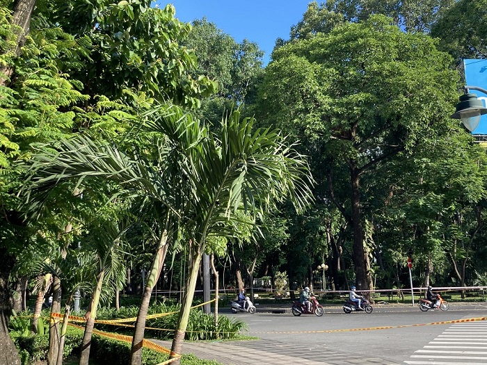 Chú trọng quy hoạch phát triển hệ thống cây xanh đô thị Chú trọng quy hoạch phát triển hệ thống cây xanh đô thị