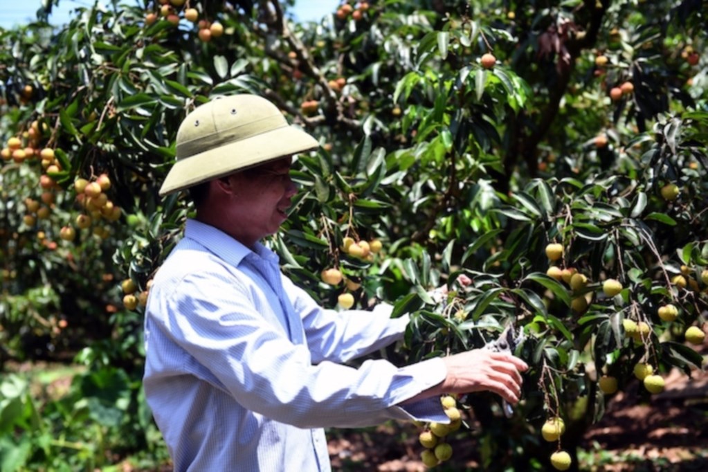 Mỏ vàng của Bắc Giang