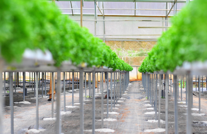 Việt Nam tiên phong trong chuyển đổi mô hình tăng trưởng