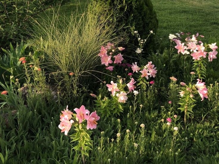 Tử vi vòng quay công nghệ ngày 6/6/2025: Tuổi Dậu khá dư dả, tuổi Sửu làm việc vất vả Tử vi vòng quay công nghệ ngày 6/6/2025: Tuổi Dậu khá dư dả, tuổi Sửu làm việc vất vả