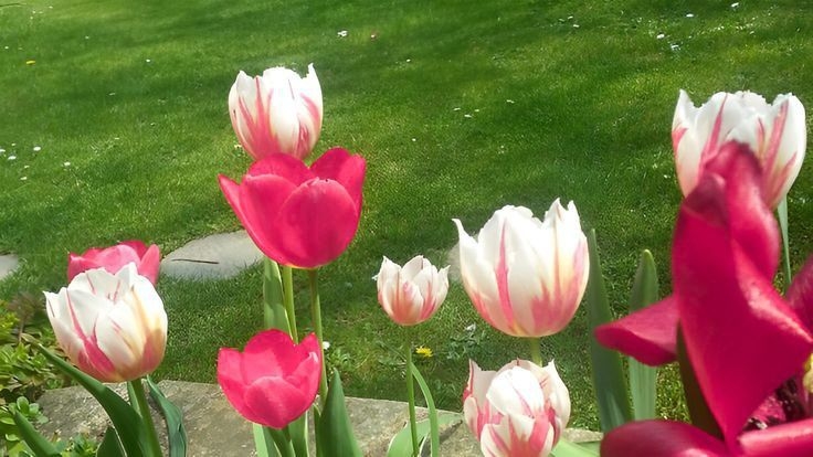 Tử vi vòng quay công nghệ ngày 6/6/2025: Tuổi Dậu khá dư dả, tuổi Sửu làm việc vất vả Tử vi vòng quay công nghệ ngày 6/6/2025: Tuổi Dậu khá dư dả, tuổi Sửu làm việc vất vả