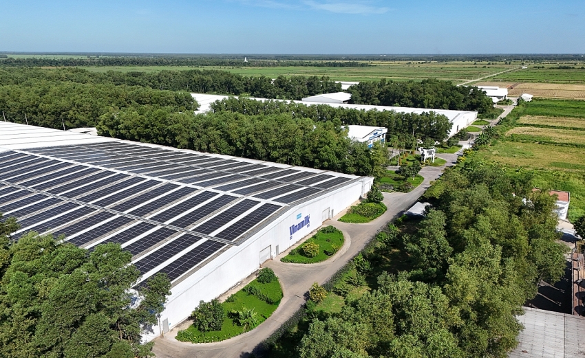 Doanh nghiệp cần gì để chuyển mình nhanh hơn trong kỷ nguyên xanh? Doanh nghiệp cần gì để chuyển mình nhanh hơn trong kỷ nguyên xanh?