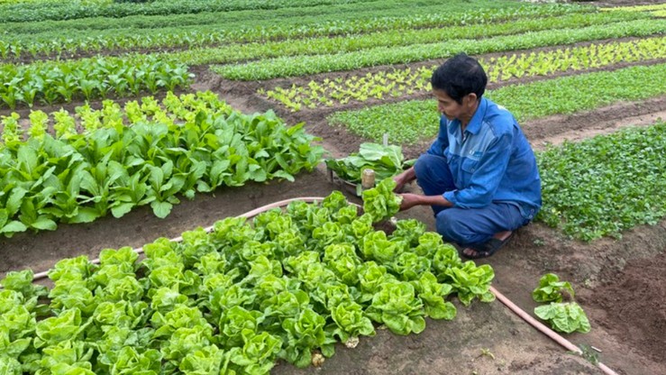 Châu Sơn tạo động lực mới phát triển kinh tế nông thôn