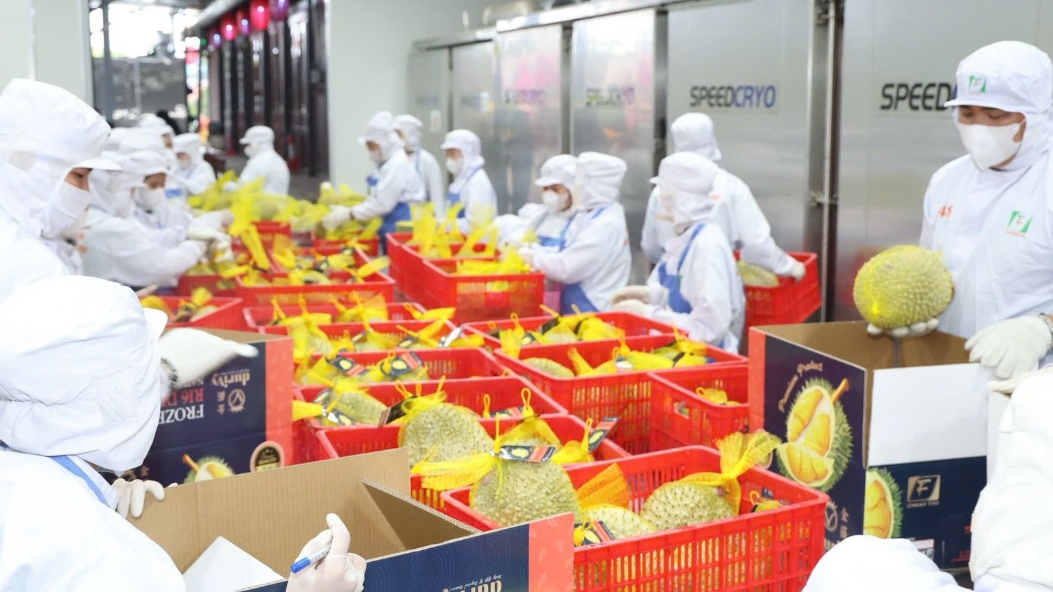 Xuất khẩu rau quả Việt Nam tăng tốc hướng tới mốc 10 tỷ USD