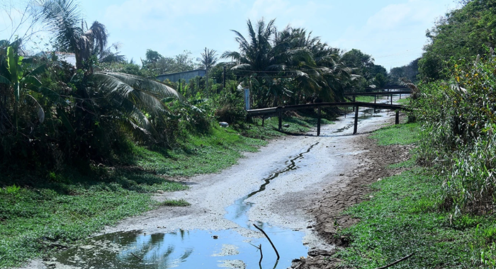 Thời tiết cực đoan có hoàn toàn do El Nino?