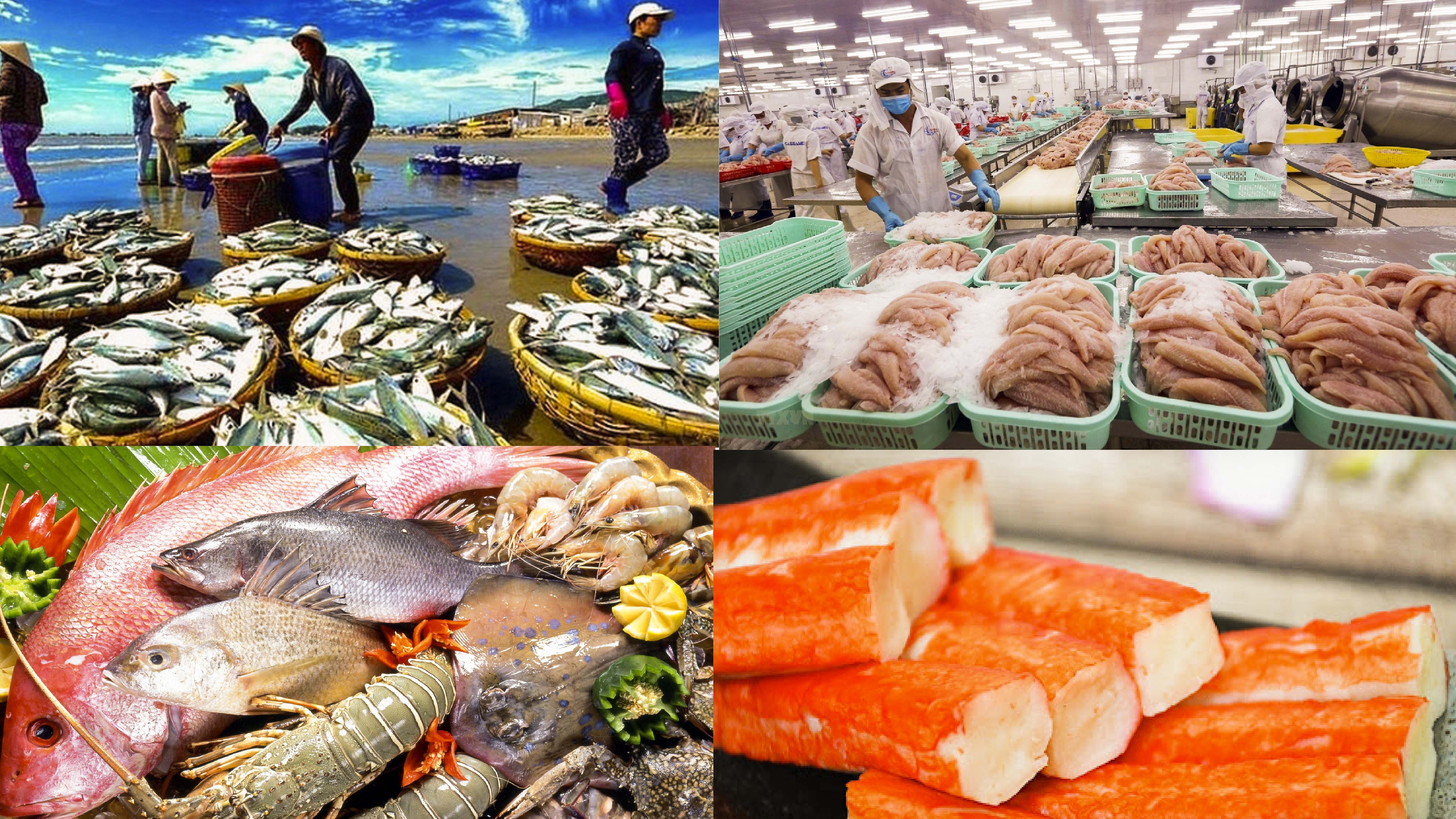 Thủy sản Việt Nam trước bài toán giữ thị phần tại Hoa Kỳ