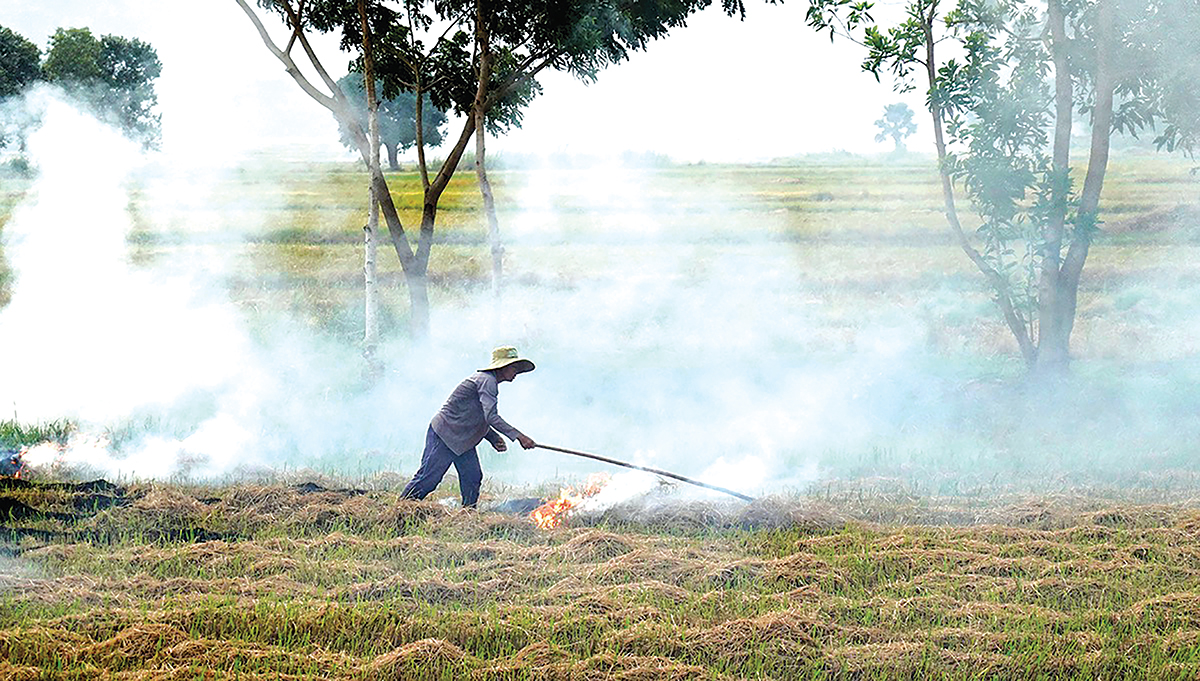Vĩnh Long chú trọng phát triển nông nghiệp xanh, thích ứng biến đổi khí hậu