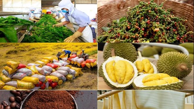 Giá nông sản hôm nay 6/6: Hồ tiêu bật tăng, cà phê giảm sâu, gạo xuất khẩu khởi sắc