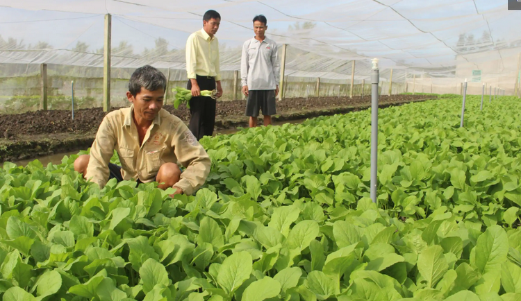 Công nghệ hiện đại giúp nâng cao giá trị nông sản sạch Công nghệ hiện đại giúp nâng cao giá trị nông sản sạch